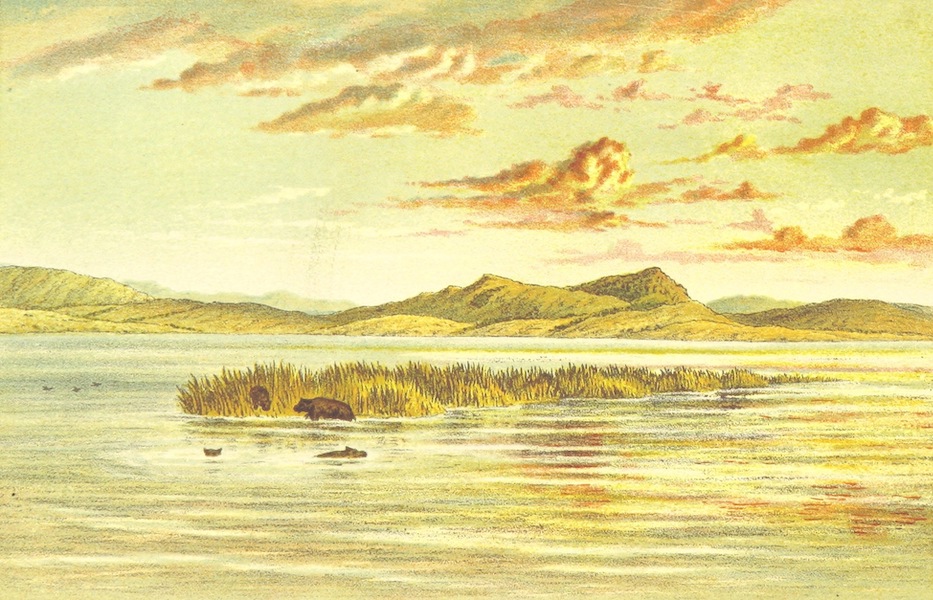 The First Ascent of the Kasai - The Southern Shore of Stanley Pool (1889)