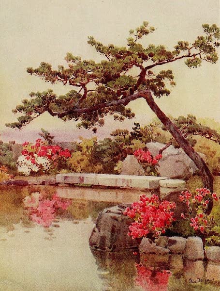 Azaleas in a Kyoto Garden