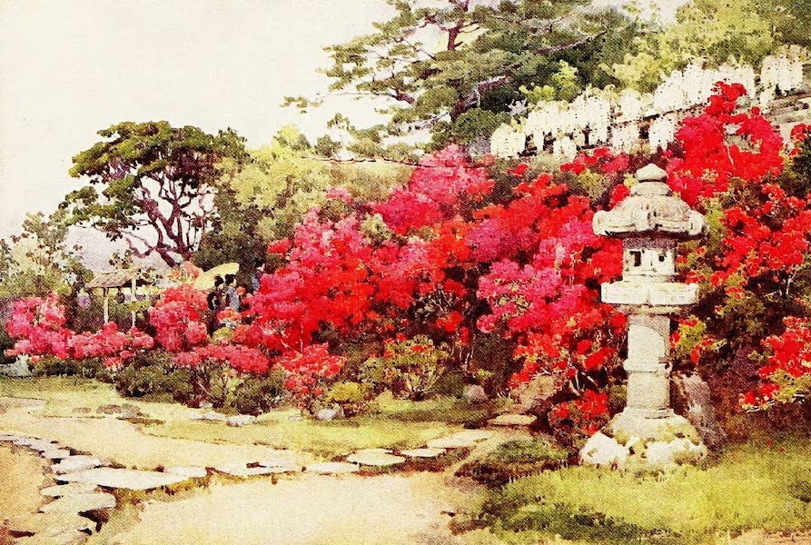 Azaleas, Awata