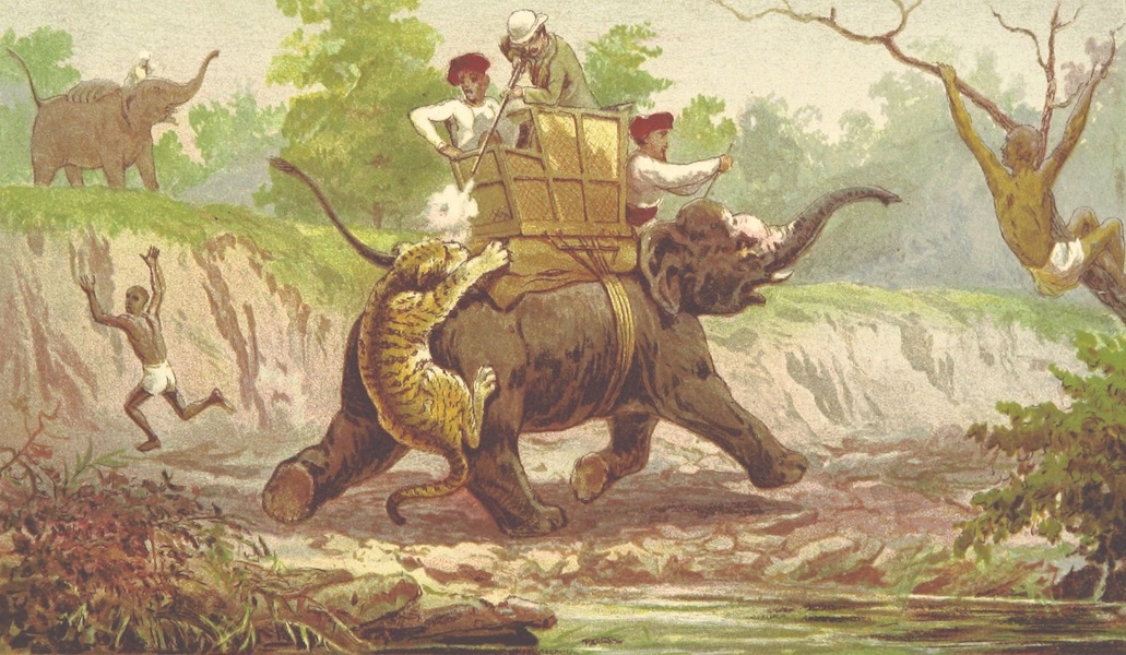 The Highlands of Central India - Death of the Man-Eater (1871)