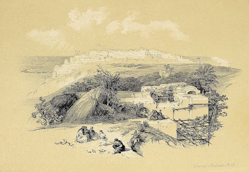 Jaffa, Looking North