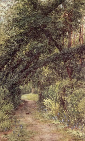 The Homes of Tennyson Painted and Described - The Glade, Farringford (1905)