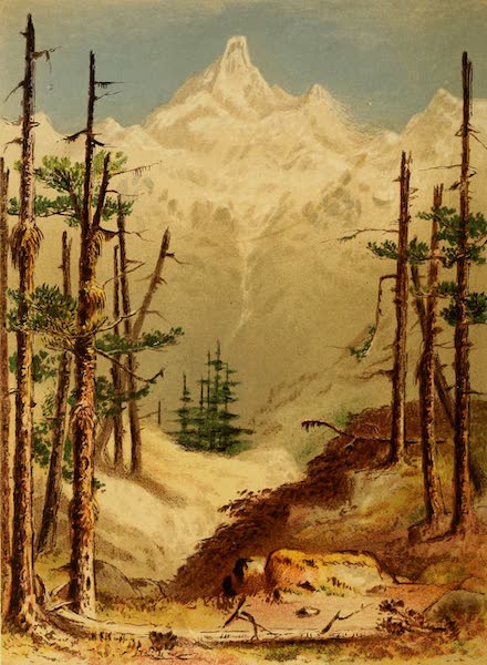 The Indian Alps and How We Crossed Them - Junnoo from below Soubaboom (1876)