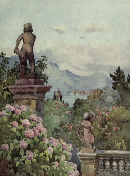 Hydrangeas, Isola Bella, Lago Maggiore