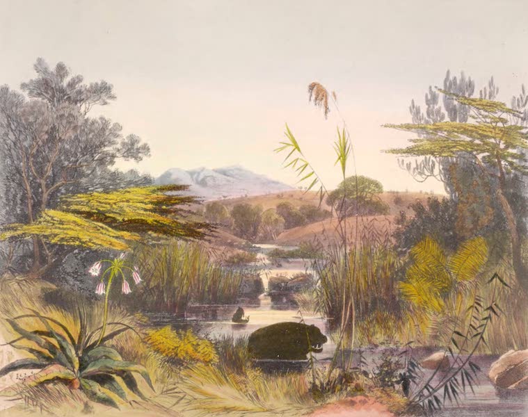 Evening Scene on the Umnonoti River