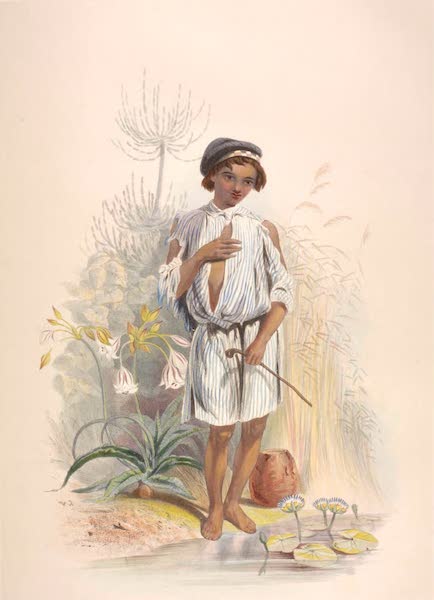 The Kafirs Illustrated in a Series of Drawings - Charley, a Half Caste Kafir Boy at Natal (1849)