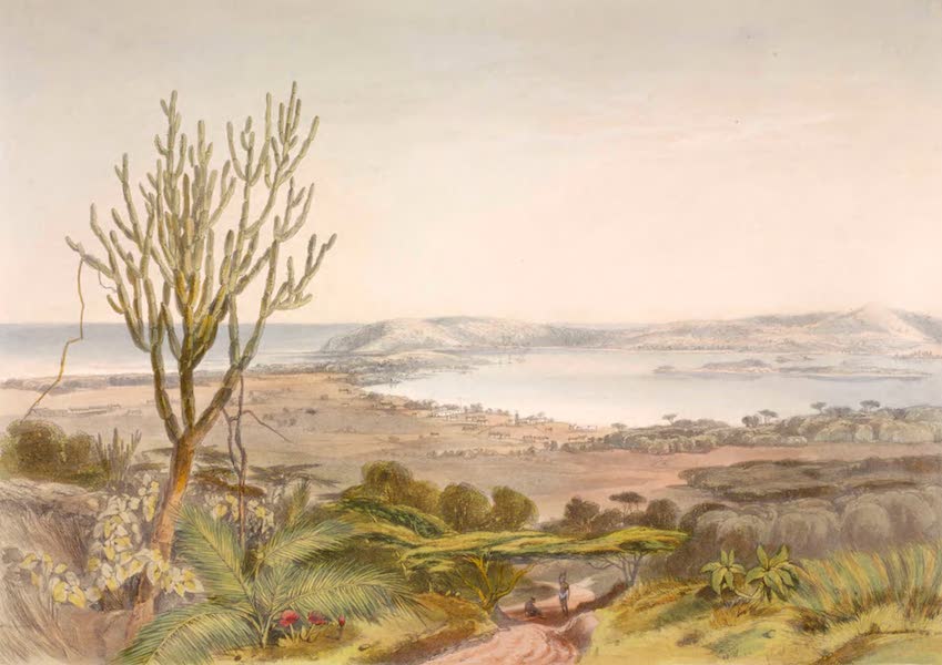 d'Uurban, Port Natal, from the Berea