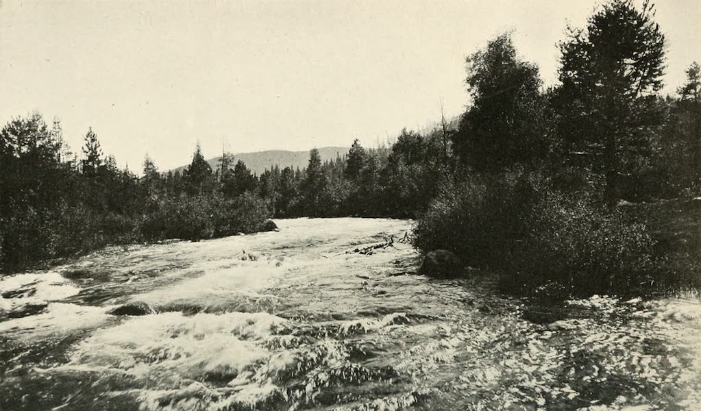 The Lake of the Sky, Lake Tahoe - The picturesque Truckee River, near Lake Tahoe (1915)