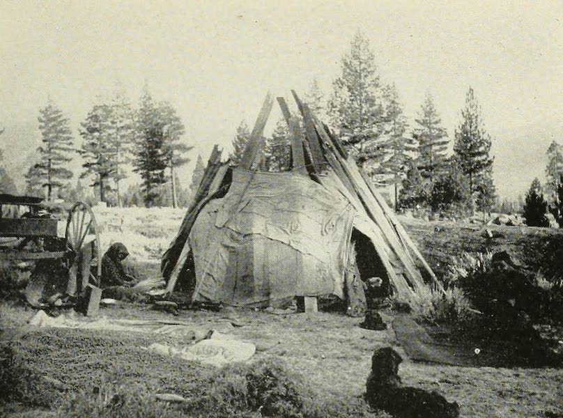 A Washoe indian Campoodie, Near Lakeside Park, Lake Tahoe