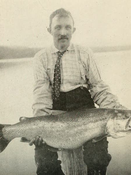 The Lake of the Sky, Lake Tahoe - Chris Nelson, With His Catch, a 23 lb. Tahoe Trout (1915)