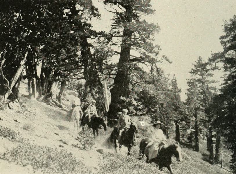 The Lake of the Sky, Lake Tahoe - On the Trail Returning from the Summit of Mt. Tallac (1915)