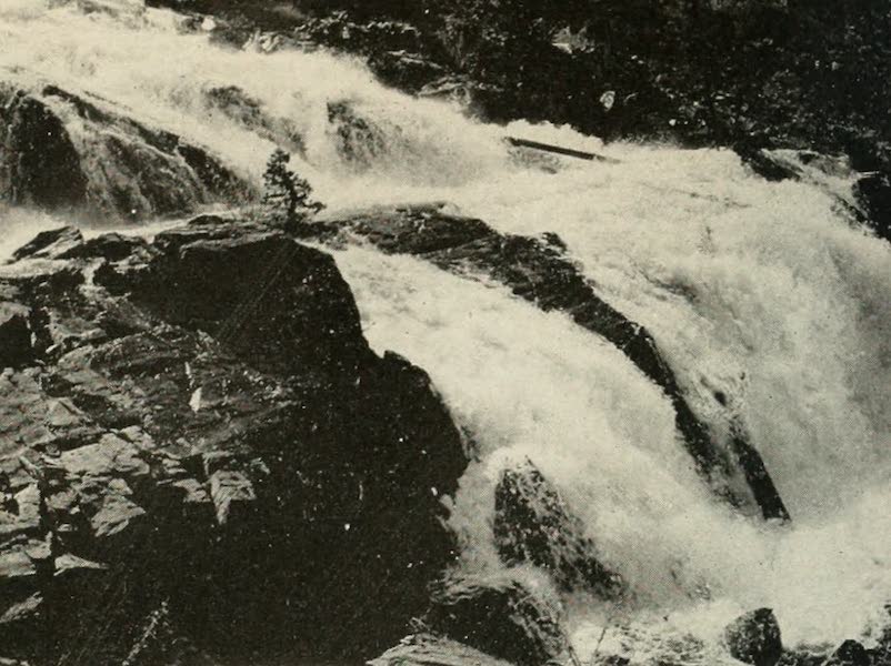 The Lake of the Sky, Lake Tahoe - Glen Alpine Falls, Near Glen Alpine Springs (1915)