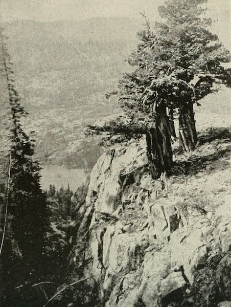 The Lake of the Sky, Lake Tahoe - Glimpse of Grass Lake, looking across and up Glen Alpine Canyon (1915)