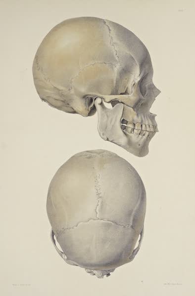 The Necropolis of Ancon Vol. 3 - Slightly deformed Skull [II] (1880)