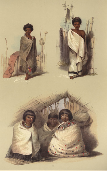 Natives of Port Nicholson (4 figs)
