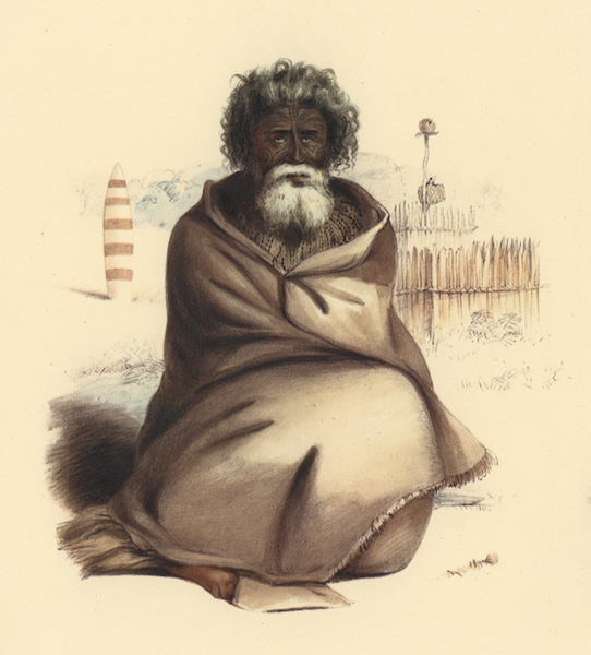 Te Ohu, a Heathen Priest of the Ngatimaniapotp Tribe