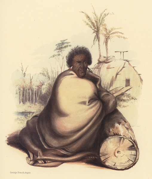 Te Werowero, or Potatau. The principal chief of all Waikato