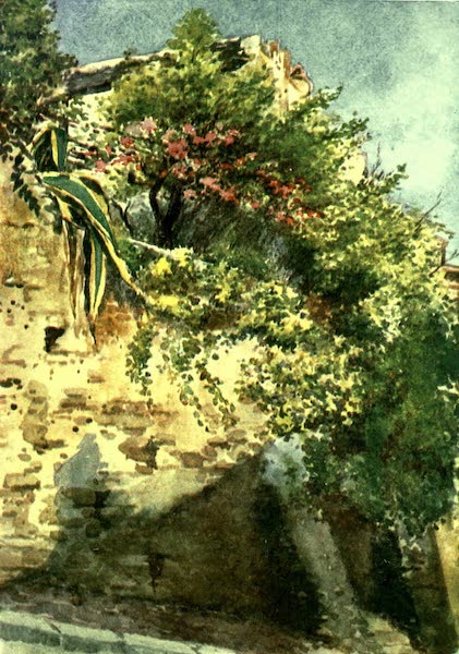 A Street Corner, Cagnes