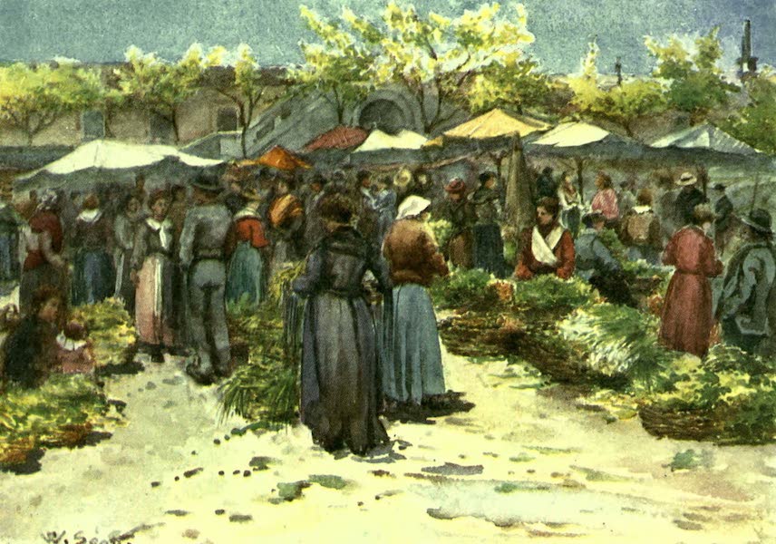 The Riviera Painted & Described - The Vegetable Market, Nice, looking South (1907)