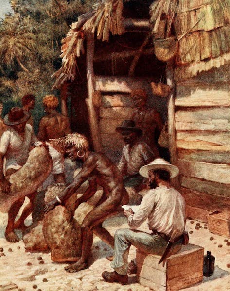 Johnnie Pratt with his Ivory Nuts at Simbo, Solomon Islands