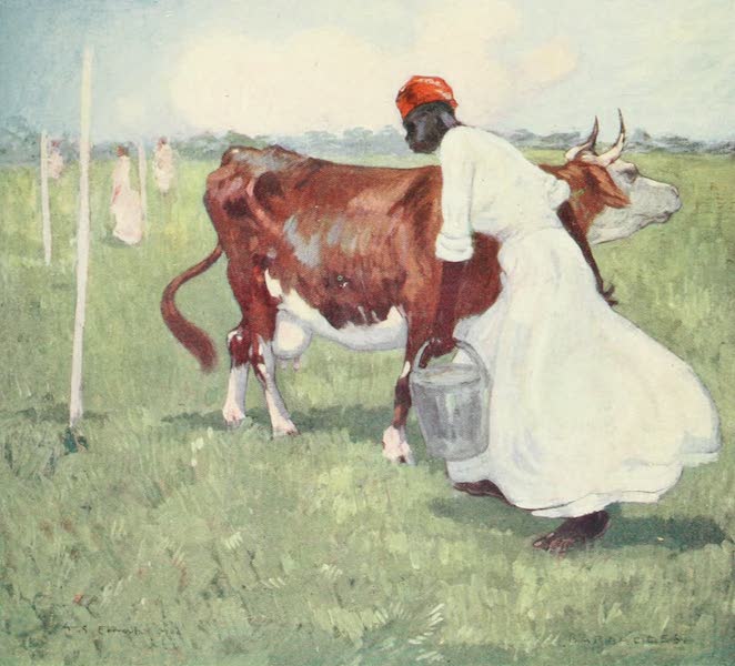 A Milkmaid, Barbadoes