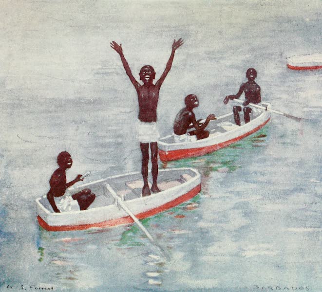 The West Indies, Painted and Described - Diving Boys, off Barbadoes (1905)