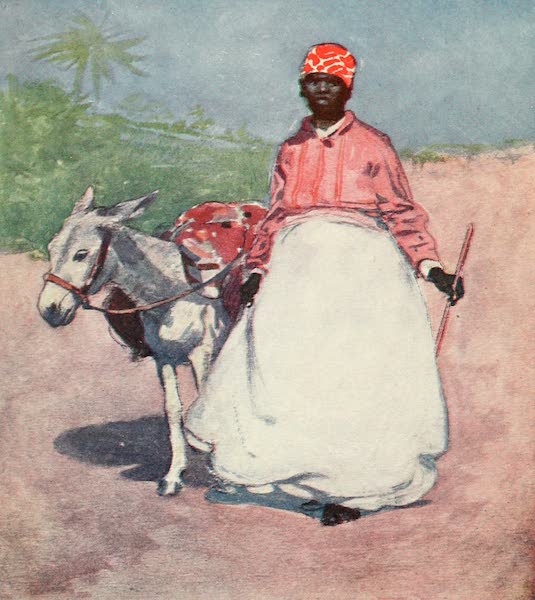 The West Indies, Painted and Described - Countrywoman going to Market, Barbadoes (1905)