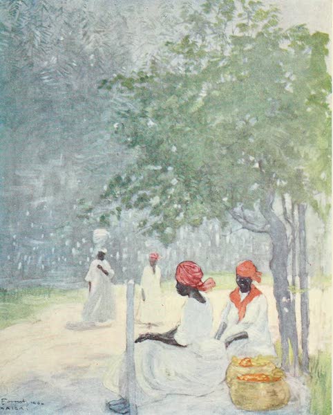 The West Indies, Painted and Described - Mid-day Heat, Jamaica (1905)