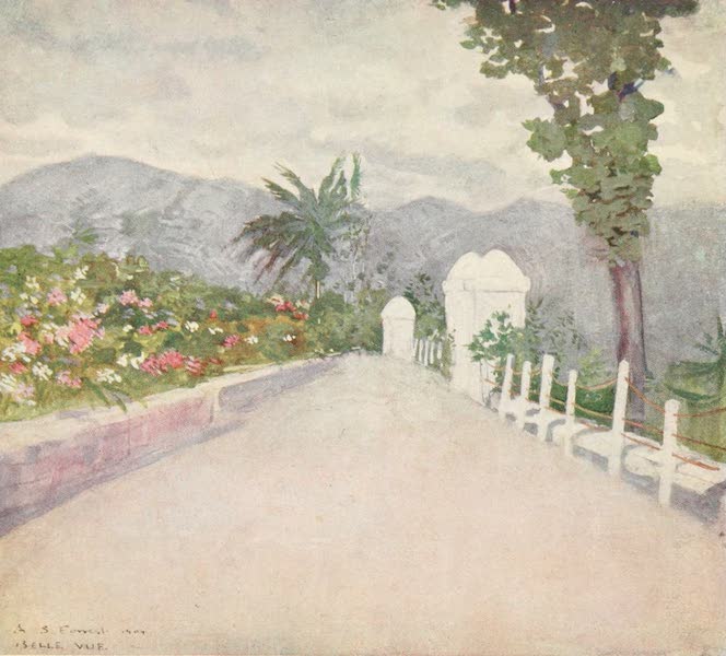 A Terrace Garden on the Hills, Jamaica