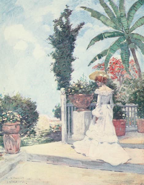 A Garden Terrace, Jamaica