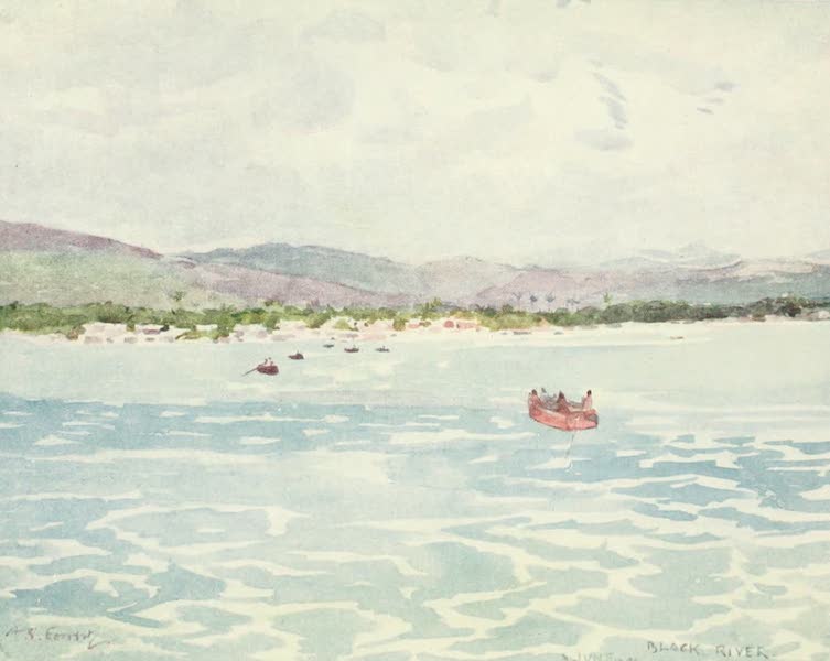 The West Indies, Painted and Described - Black River, Jamaica (1905)