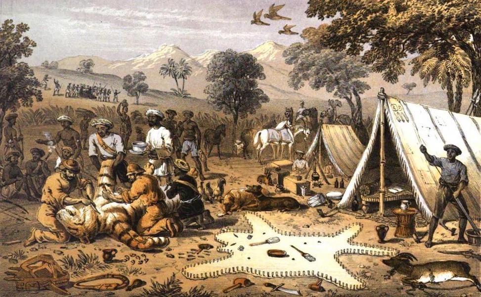 Tiger-Shooting in India - Our Camp (1857)