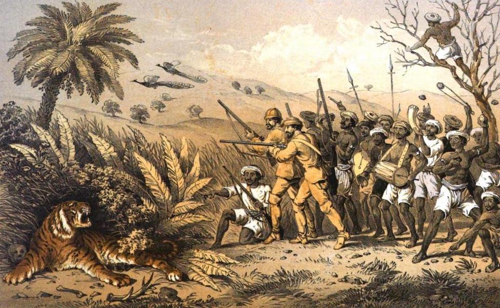 Tiger-Shooting in India - Order of Procession Following Up a Wounded Tiger (1857)