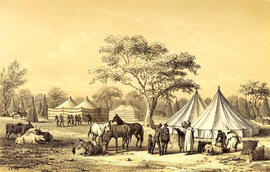 Landscape of the Musgu Country