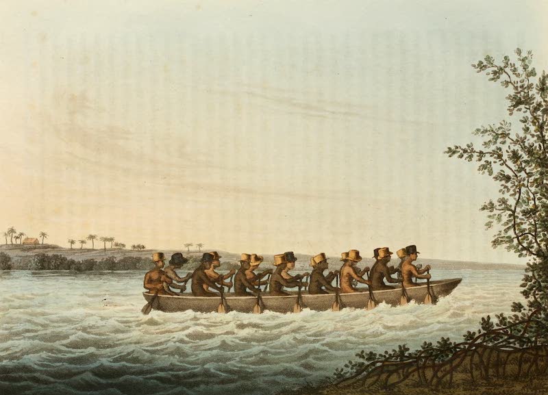 Travels in Brazil - Fishing Canoe (1816)
