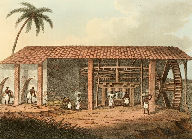 Travels in Brazil - A Sugar Mill (1816)