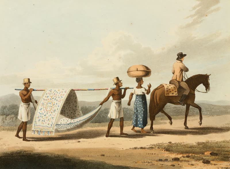 Travels in Brazil - A Planter and His Wife on a Journey (1816)