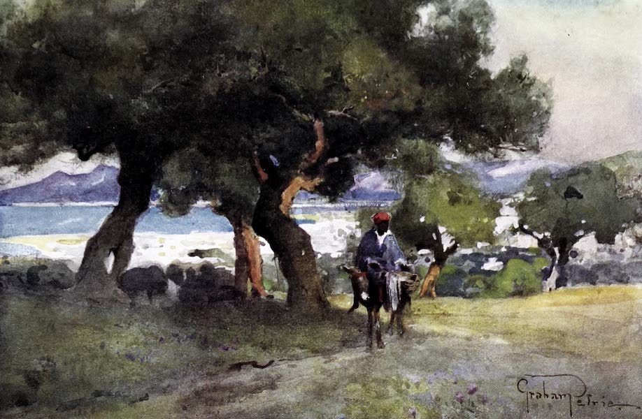 Tunis, Kairouan & Carthage - Tunis from the Olive Woods (1908)