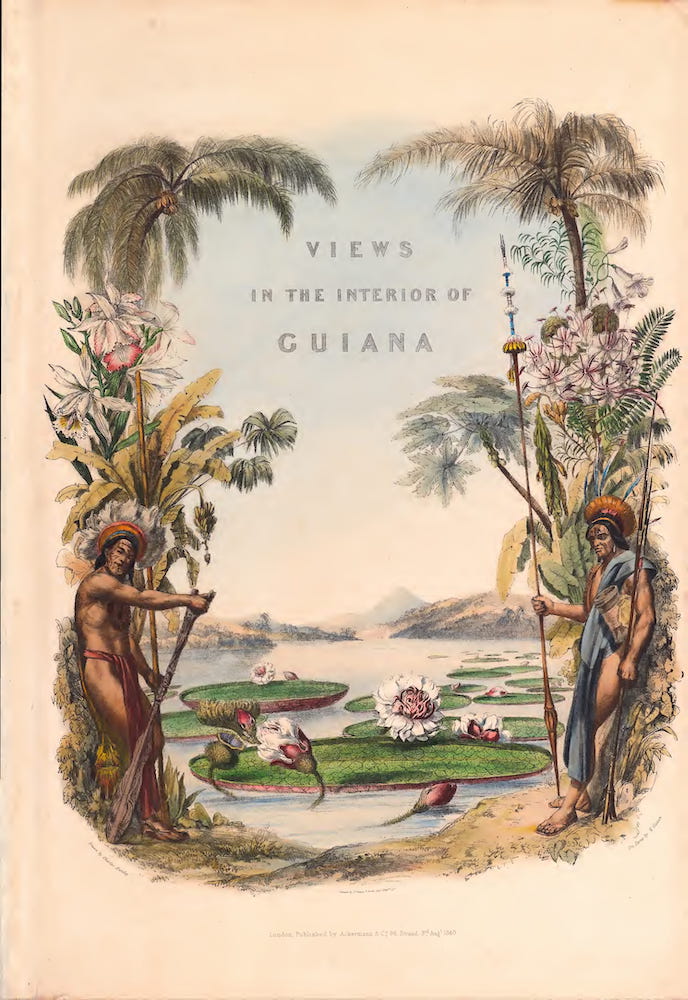 Twelve Views in the Interior of Guiana (1841)