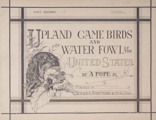 Biodiversity Heritage Library - Upland Game Birds and Water Fowl