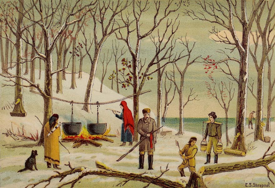 Upper Canada Sketches - Maple Sugar Making (1898)
