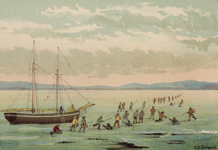 Upper Canada Sketches - Canadian Rebellion 1837-8 - Refugees frozen in at Oswego, NY (1898)