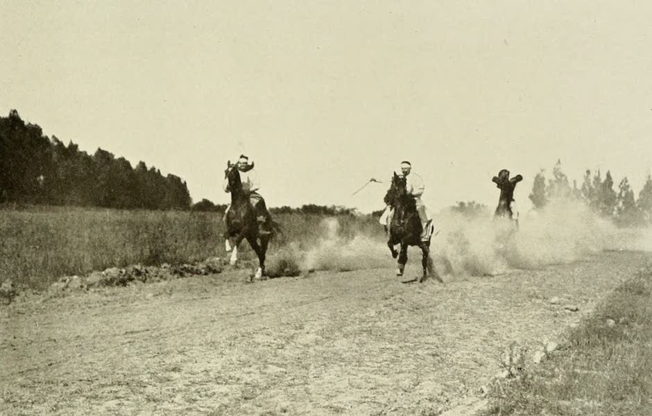 A Gaucho Race : The Start