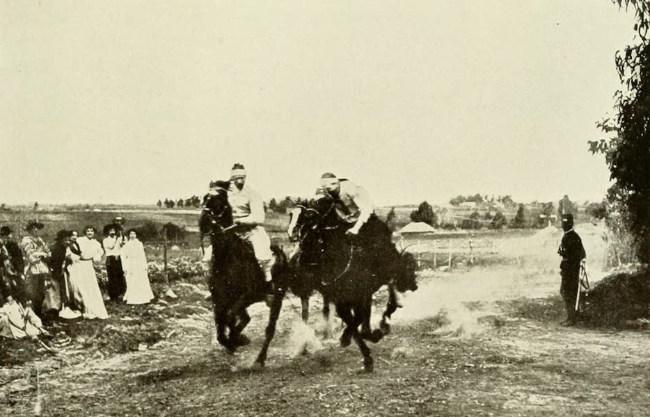 A Gaucho Race : The Finish