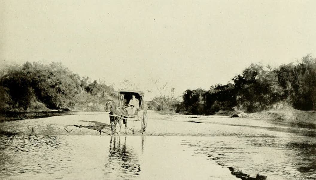 A Uruguayan Stream