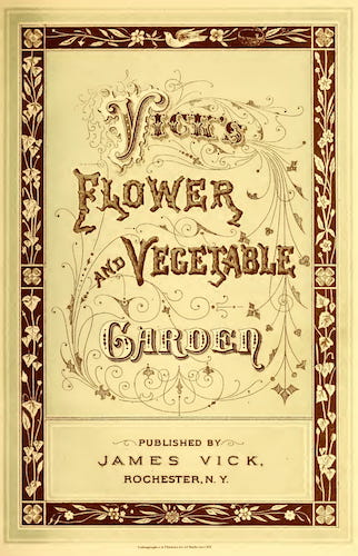 American Southwest - Vick's Flower and Vegetable Garden