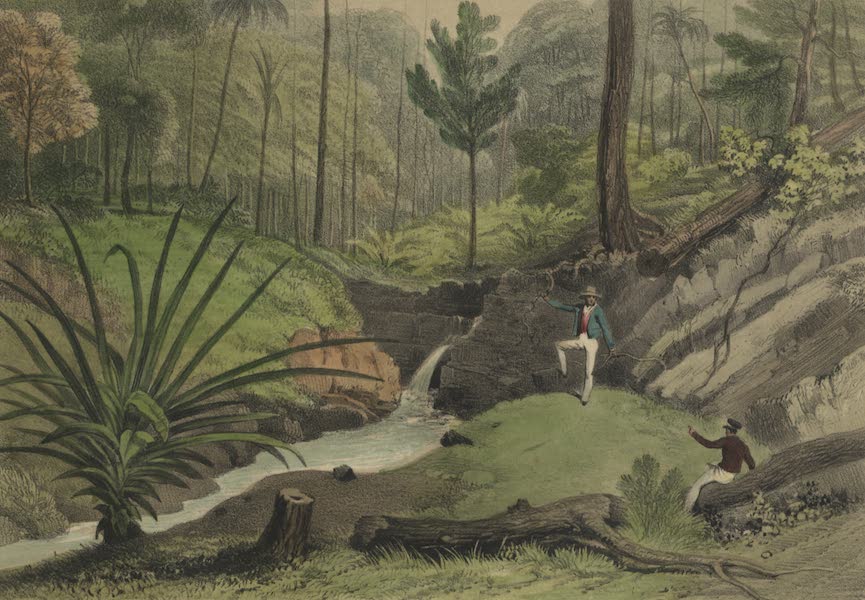 View of the coal seam on the Island of Labuan