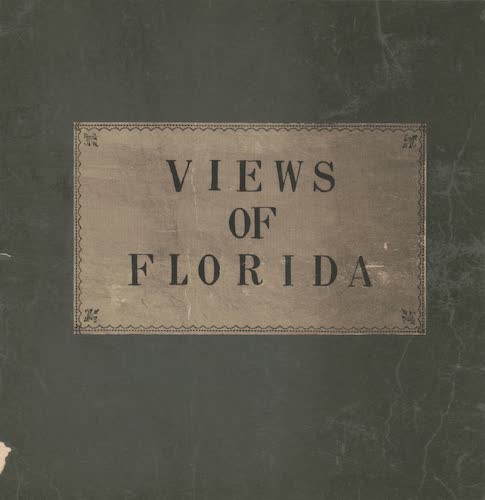 Views of Florida