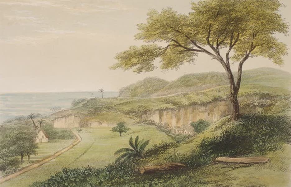 Views of the Island of Dominica - Morne Daniole from King's Hill (1849)
