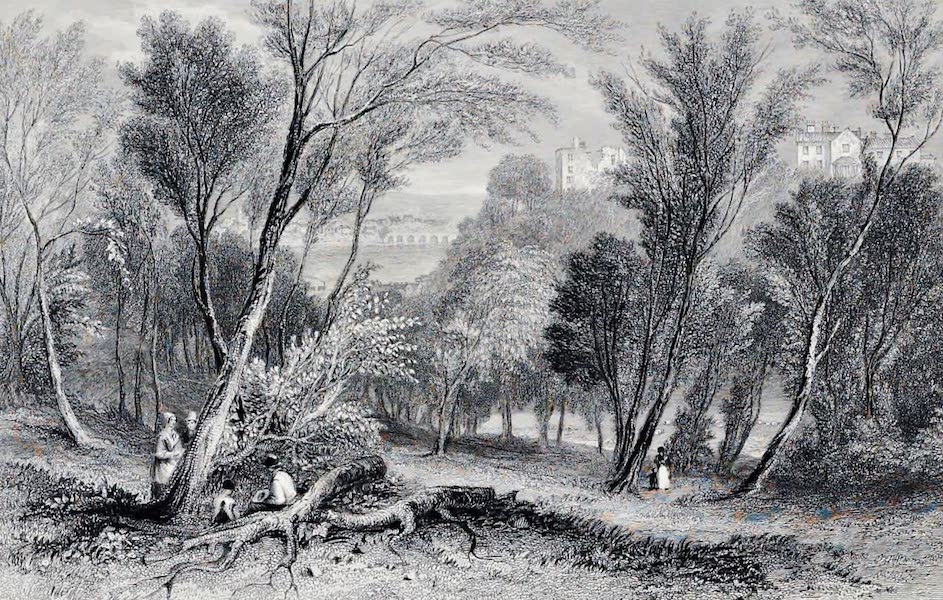 Views on the Newcastle and Carlisle Railway - Dilston (1839)